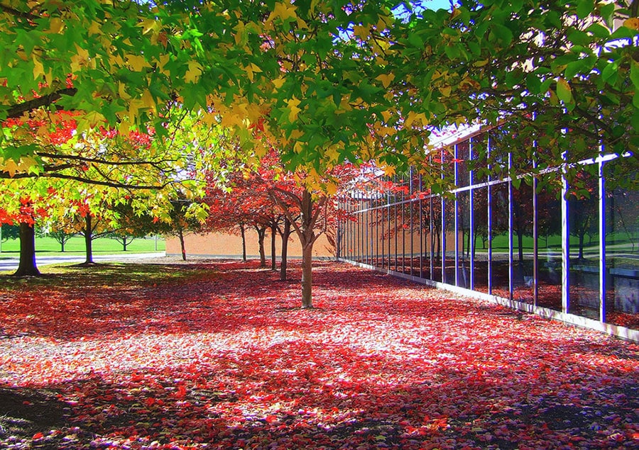 Miami University campus in Oxford, Ohio