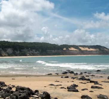 Dolphins Bay, Praia de Pipa, Brazil