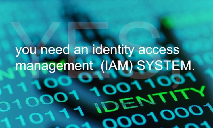 Identity access management (IAM) system