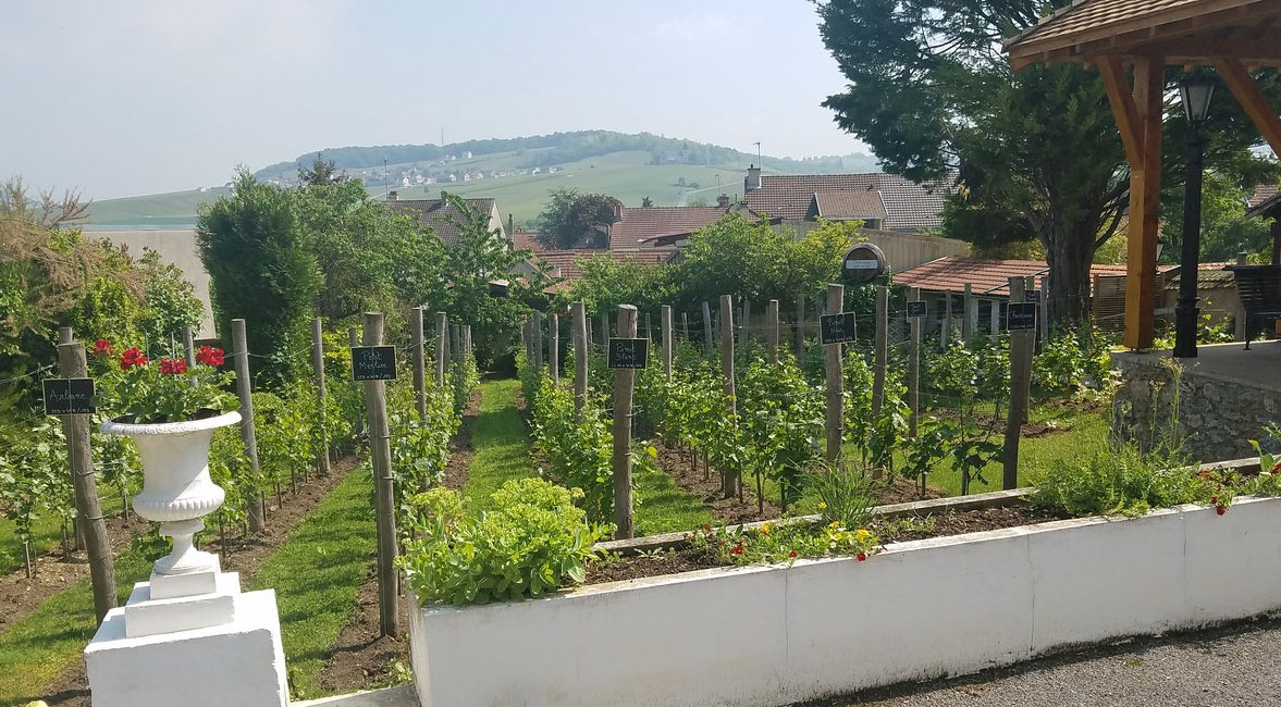 Champagne-Ardenne, France