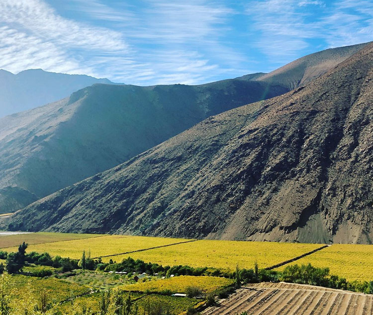 Pisco Elqui, Chile