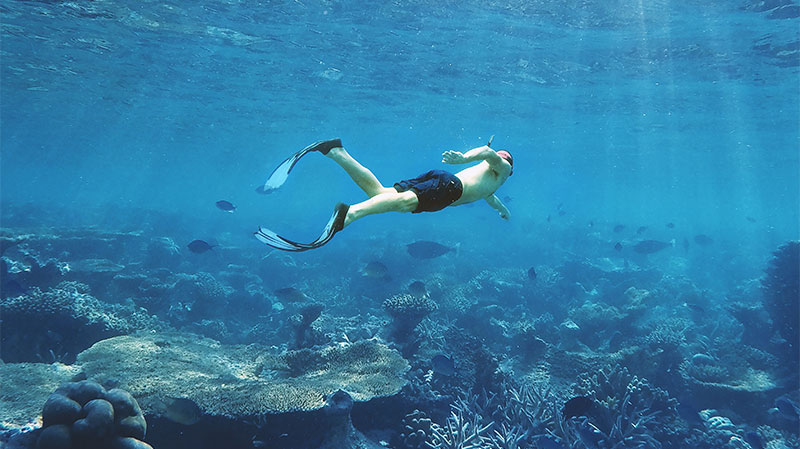 Snorkeling