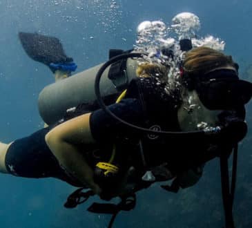 Underwater Photography