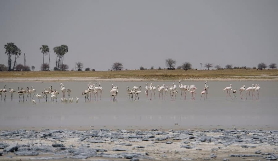 Makgadikgadi Pan, Africa