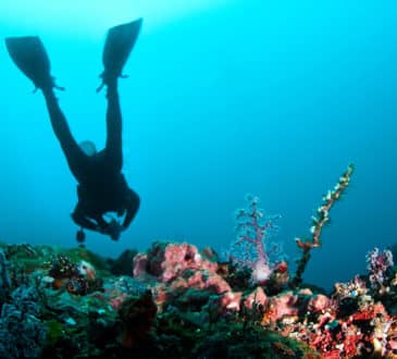 Scuba diving