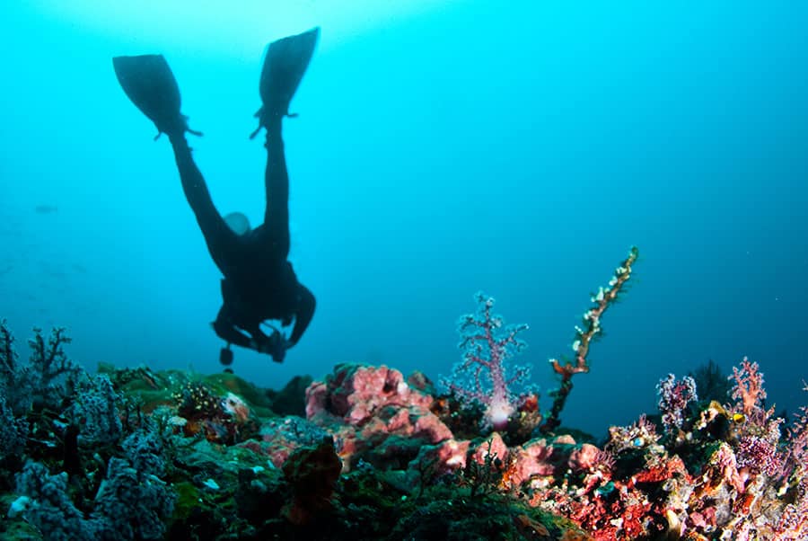 Scuba diving