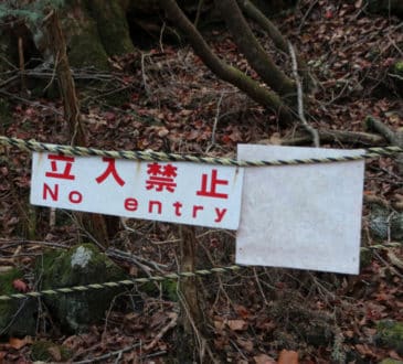Aokigahara Forest (Sea of Trees or Suicide Forest), Japan