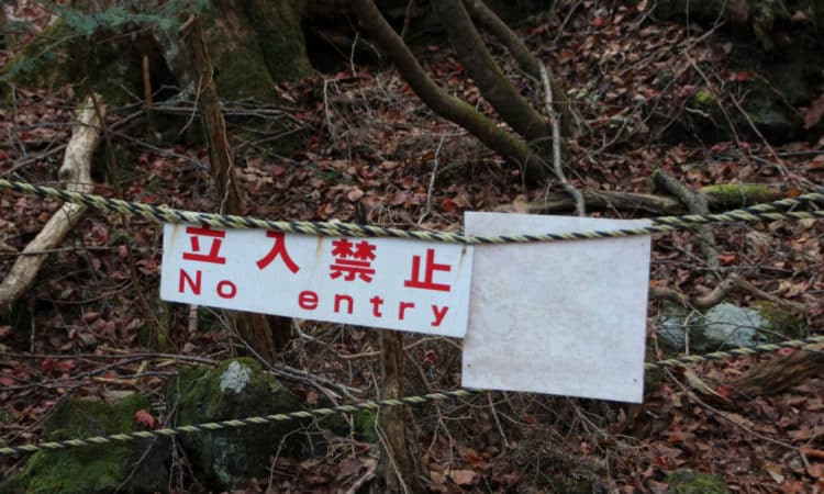 Aokigahara Forest (Sea of Trees or Suicide Forest), Japan