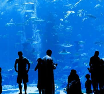 Dubai Aquarium & Underwater Zoo, Dubai, United Arab Emirates