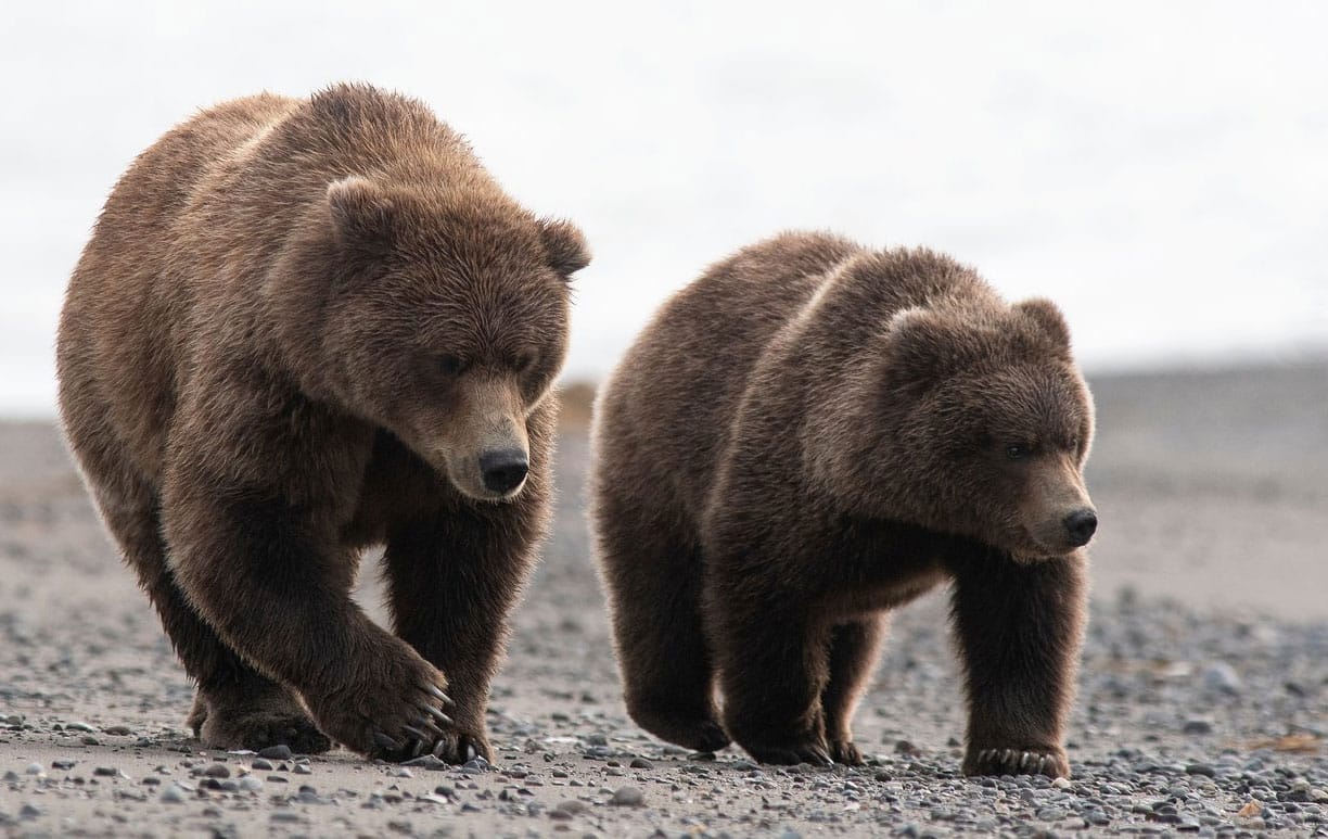 Lake Clark National Park, Alaska