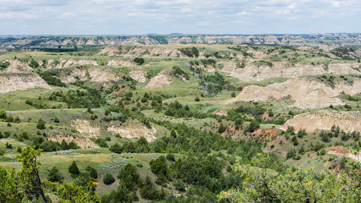 Theodore Roosevelt National Park, North Dakota