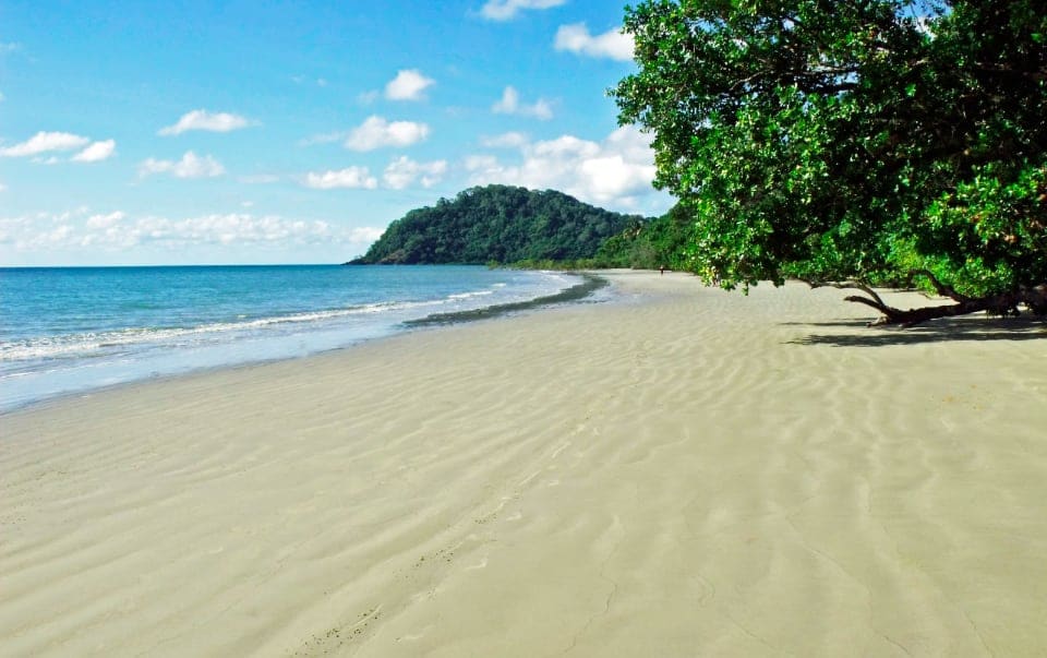 Cape Tribulation Australia