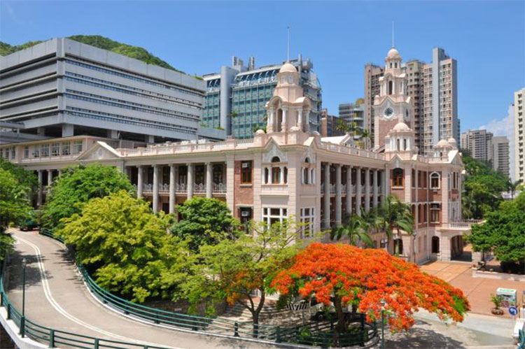 Faculty of Business and Economics at the University of Hong Kong