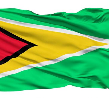 Guyana flag