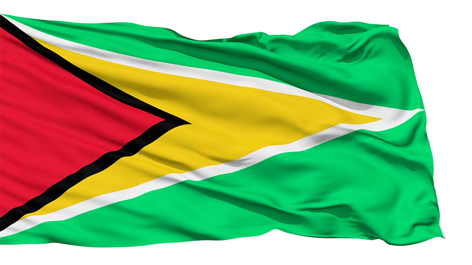 Guyana flag