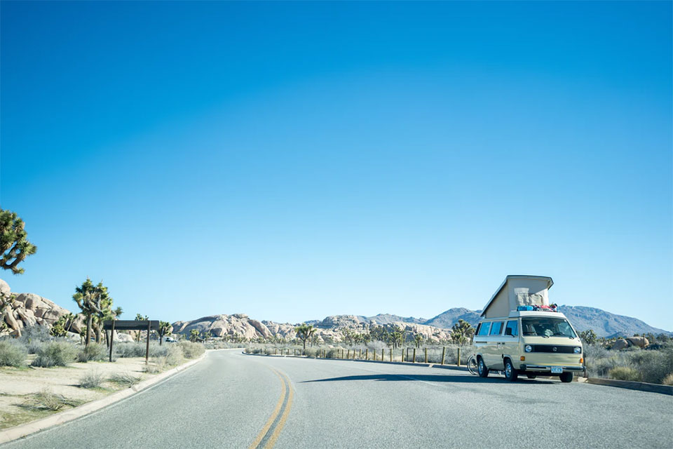 Joshua Tree National Park