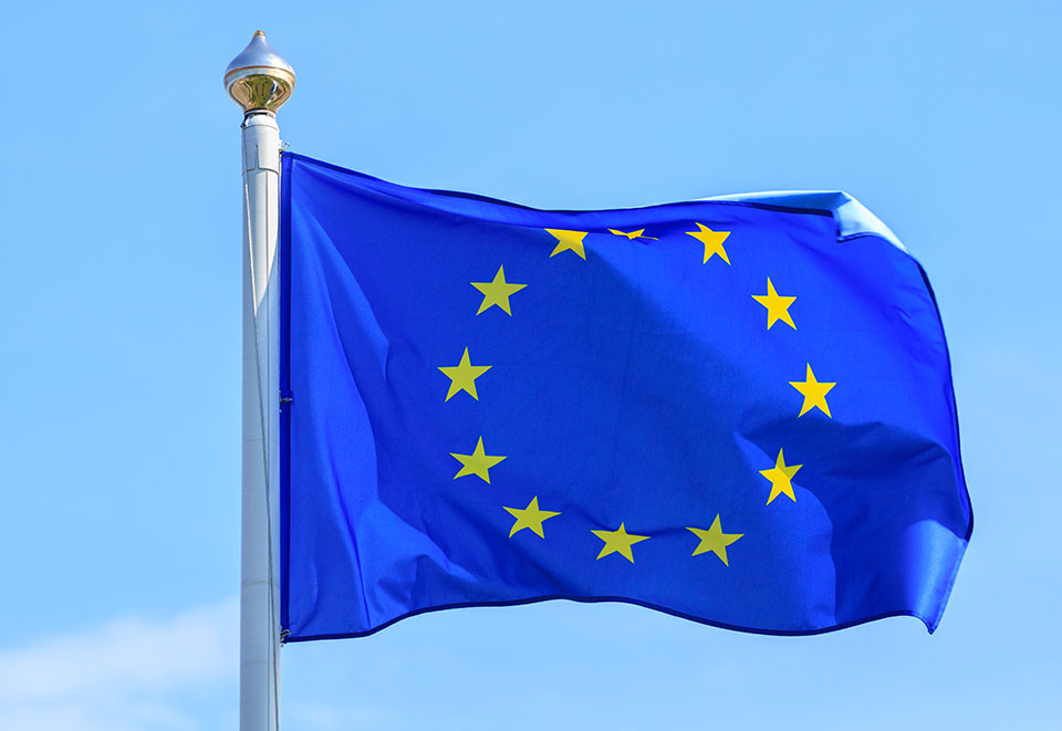 European Union flag EU flag