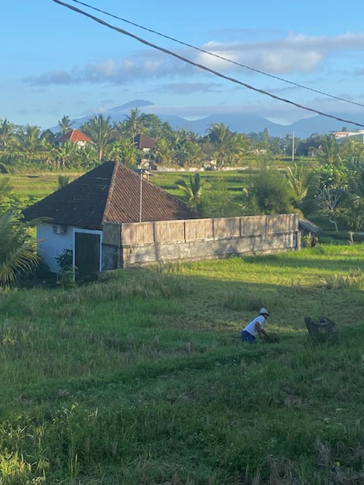 Ubud Bali