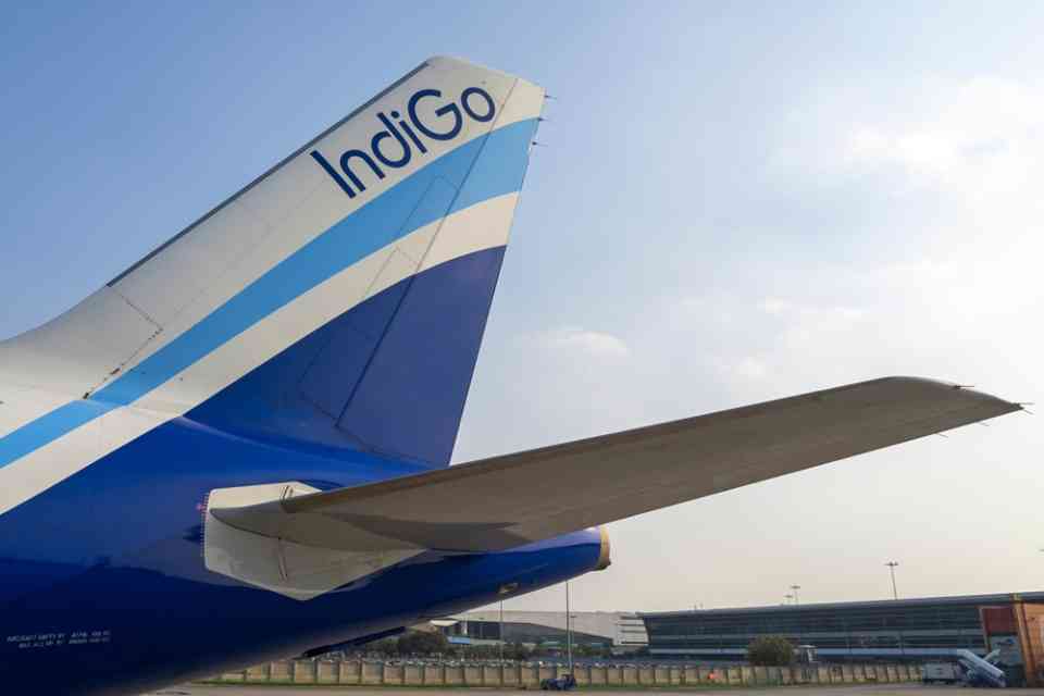 Indigo