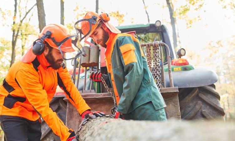 Logging Workers