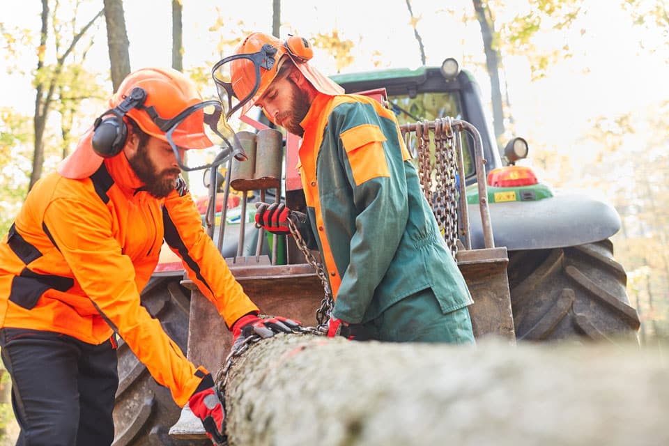 Logging Workers