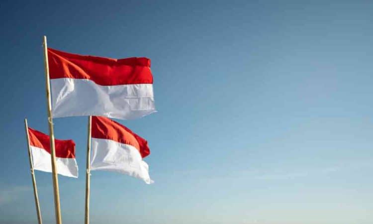 Indonesia flag