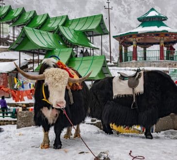 Sikkim