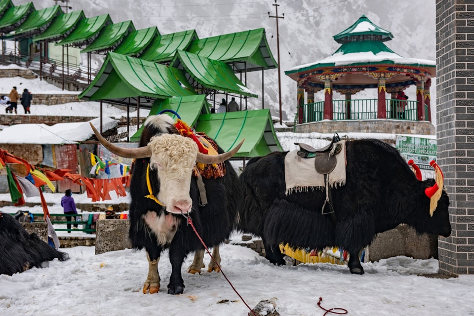 Sikkim