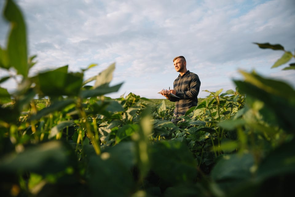 Agribusinesses