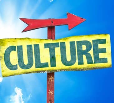 Insufficient to Transform Culture