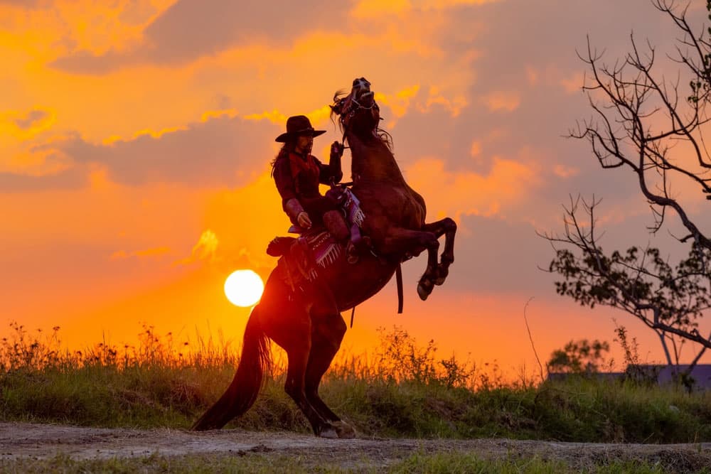 Western cowboys